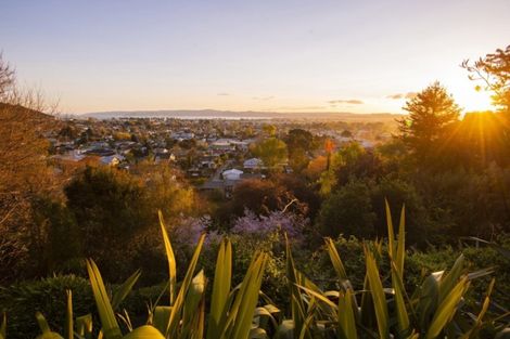 Photo of property in 24b Sievwright Lane, Whataupoko, Gisborne, 4010