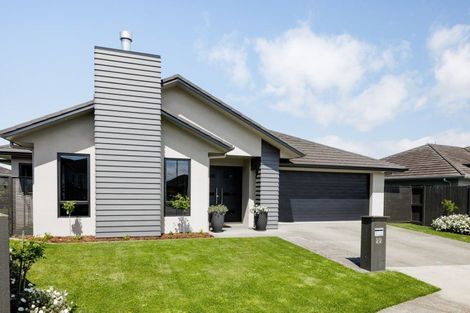 Photo of property in 22 Miranda Place, Flagstaff, Hamilton, 3210