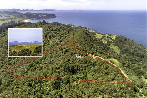 Photo of property in 595 Boat Harbour Road, Whenuakite, Whitianga, 3591