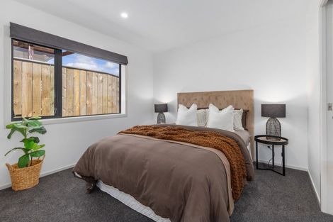 Photo of property in 45a Winchester Street, Levin, 5510