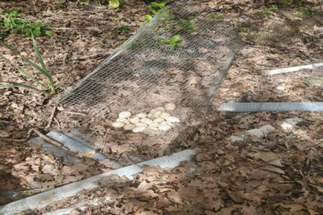 Photo of property in 482 Krippner Road, Puhoi, Warkworth, 0994