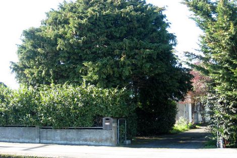 Photo of property in 419 High Street South, Carterton, 5713