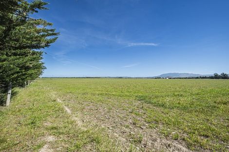 Photo of property in 136 Purchas Road, Glasnevin, Amberley, 7482