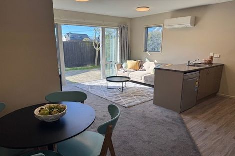 Photo of property in 145 Purchas Street, Edgeware, Christchurch, 8013