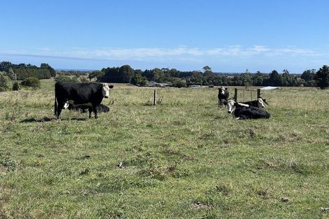 Photo of property in 61 Mickell Road, Hautere, Otaki, 5582