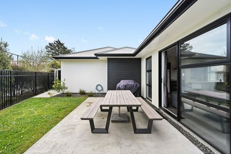 Photo of property in 9d Martin Street, Fairfield, Hamilton, 3214