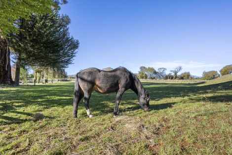 Photo of property in 276 Northbank Road, Kaituna, Blenheim, 7275