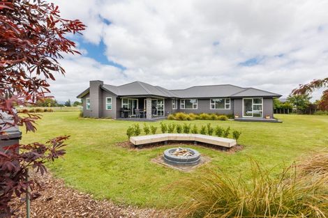 Photo of property in 21 Pukeko Road, Bunnythorpe, Feilding, 4775