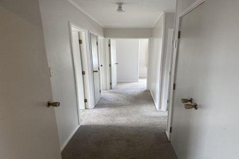 Photo of property in 127 Finlayson Avenue, Clendon Park, Auckland, 2103