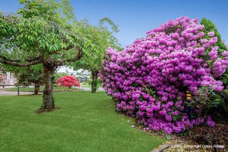 Photo of property in 11 Mark Place, Lynmore, Rotorua, 3010