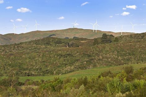 Photo of property in 73b Maungatawhiri Road, Raglan, 3295