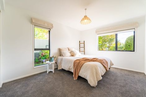 Photo of property in 17 Darby Street, Geraldine, 7930