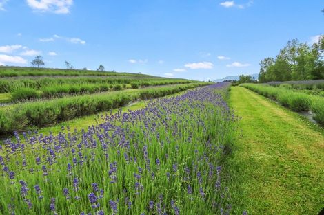 Photo of property in 1463 Taiko Road, Cave, Timaru, 7974