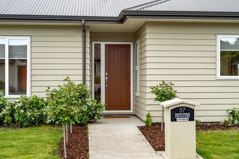Photo of property in 37 John Mcdonald Mews, Masterton, 5810