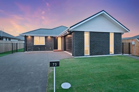 Photo of property in 73 Tiritiri Moana Drive, Pegasus, 7612