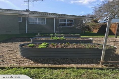 Photo of property in 43 Hall Street, Cambridge, 3434