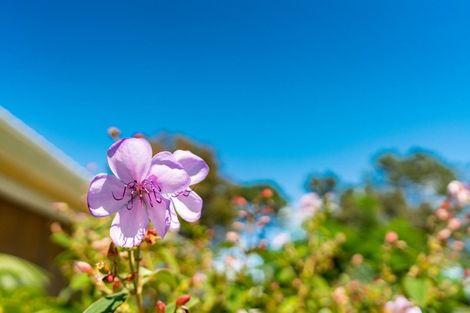 Photo of property in 254a Molesworth Drive, Mangawhai Heads, Mangawhai, 0505