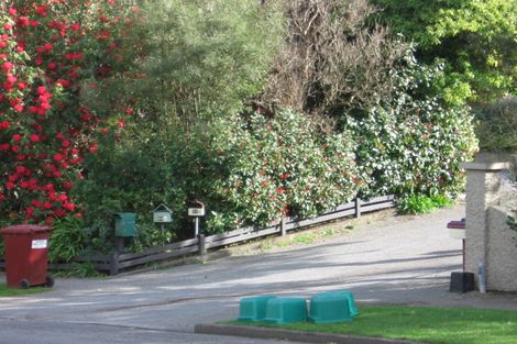 Photo of property in 59 Manuka Street, Lansdowne, Masterton, 5810