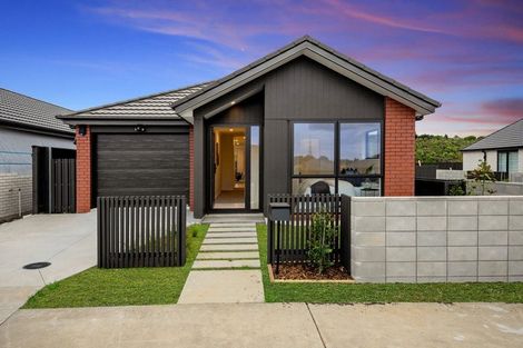 Photo of property in 101 John Main Drive, Ramarama, 2579