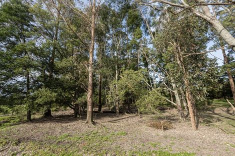 Photo of property in 307 Whananaki North Road, Opuawhanga, Hikurangi, 0181