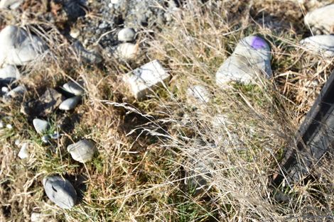 Photo of property in 12a Temple Drive, Twizel, 7901