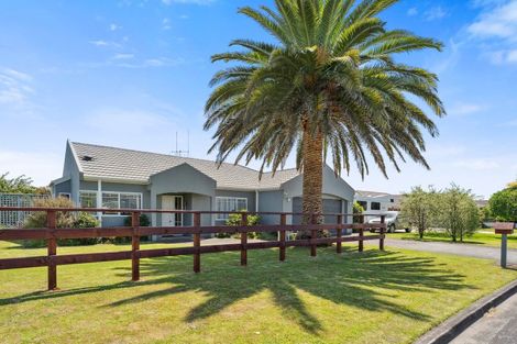 Photo of property in 52 Stephens Place, Hairini, Tauranga, 3112
