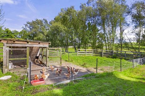 Photo of property in 615 Rotowaro Road, Huntly, 3771