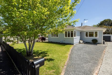 Photo of property in 18 Olwyn Terrace, Dinsdale, Hamilton, 3204