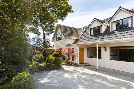 Photo of property in 93 Molyneux Avenue, Cromwell, 9310