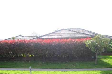 Photo of property in 23 Holmwood Park Drive, Morrinsville, 3300