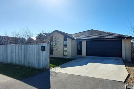 Photo of property in 256 Lyttelton Street, Spreydon, Christchurch, 8024