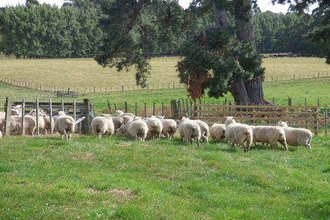 Photo of property in 42a Forest Hill Road, Aokautere, Palmerston North, 4471