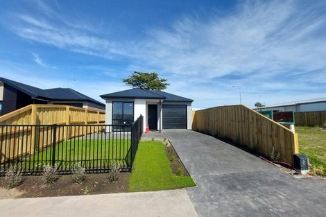 Photo of property in 49 Chrysolite Place, Belfast, Christchurch, 8051