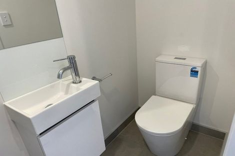 Photo of property in 40 Clay Works Lane, New Lynn, 0600