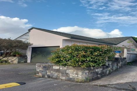 Photo of property in 33 Central Park Drive, Te Atatu South, Auckland, 0610