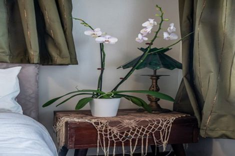 Photo of property in 404a Ensor Street, Thames, 3500