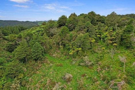 Photo of property in 1859 Waingaro Road, Waingaro, Ngaruawahia, 3793