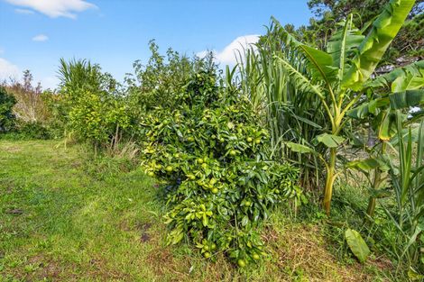 Photo of property in 263a Raepare Creek Lane, Kaiwaka, 0573