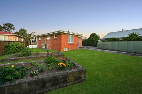 Photo of property in 19 Morrison Crescent, Glenview, Hamilton, 3206