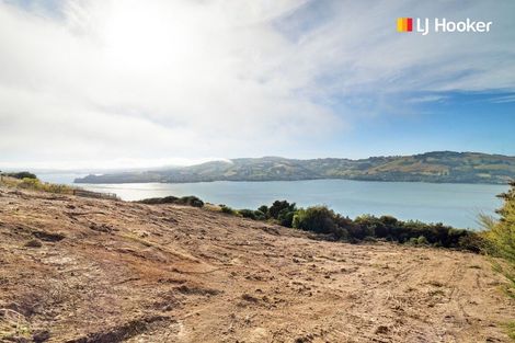 Photo of property in 65 Kakapo Street, Saint Leonards, Dunedin, 9022