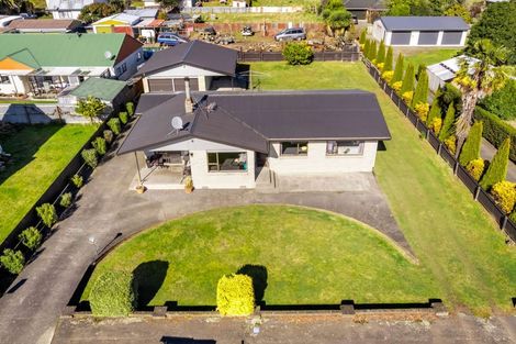 Photo of property in 1 Mathew Street, Dannevirke, 4930