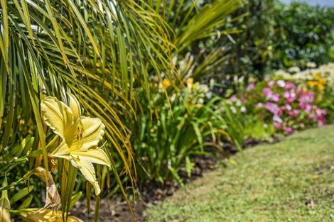 Photo of property in 52 Walker Crescent, Whau Valley, Whangarei, 0112