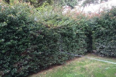 Photo of property in 126 Wheturangi Road, Greenlane, Auckland, 1051