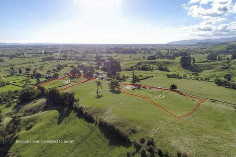 Photo of property in 48 Morrison Road, Taneatua, 3123