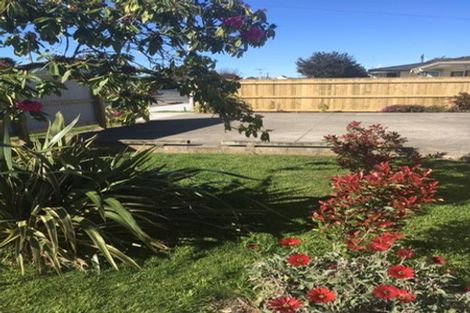 Photo of property in 155 Scott Street, Redwoodtown, Blenheim, 7201