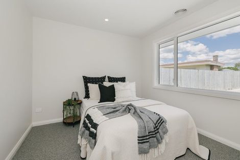 Photo of property in 427c Ruahine Street, Terrace End, Palmerston North, 4410