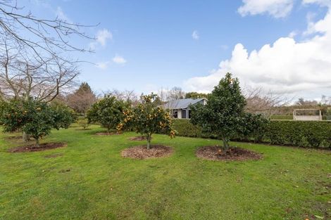 Photo of property in 75 Oaklea Lane, Tamahere, Hamilton, 3283