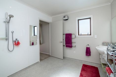 Photo of property in 19 Kauri Place, Pahiatua, 4910