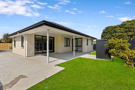 Photo of property in 19a Totara Street, Tawhero, Whanganui, 4501