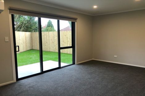 Photo of property in 8 Mcpherson Place, Fairfield, Hamilton, 3214